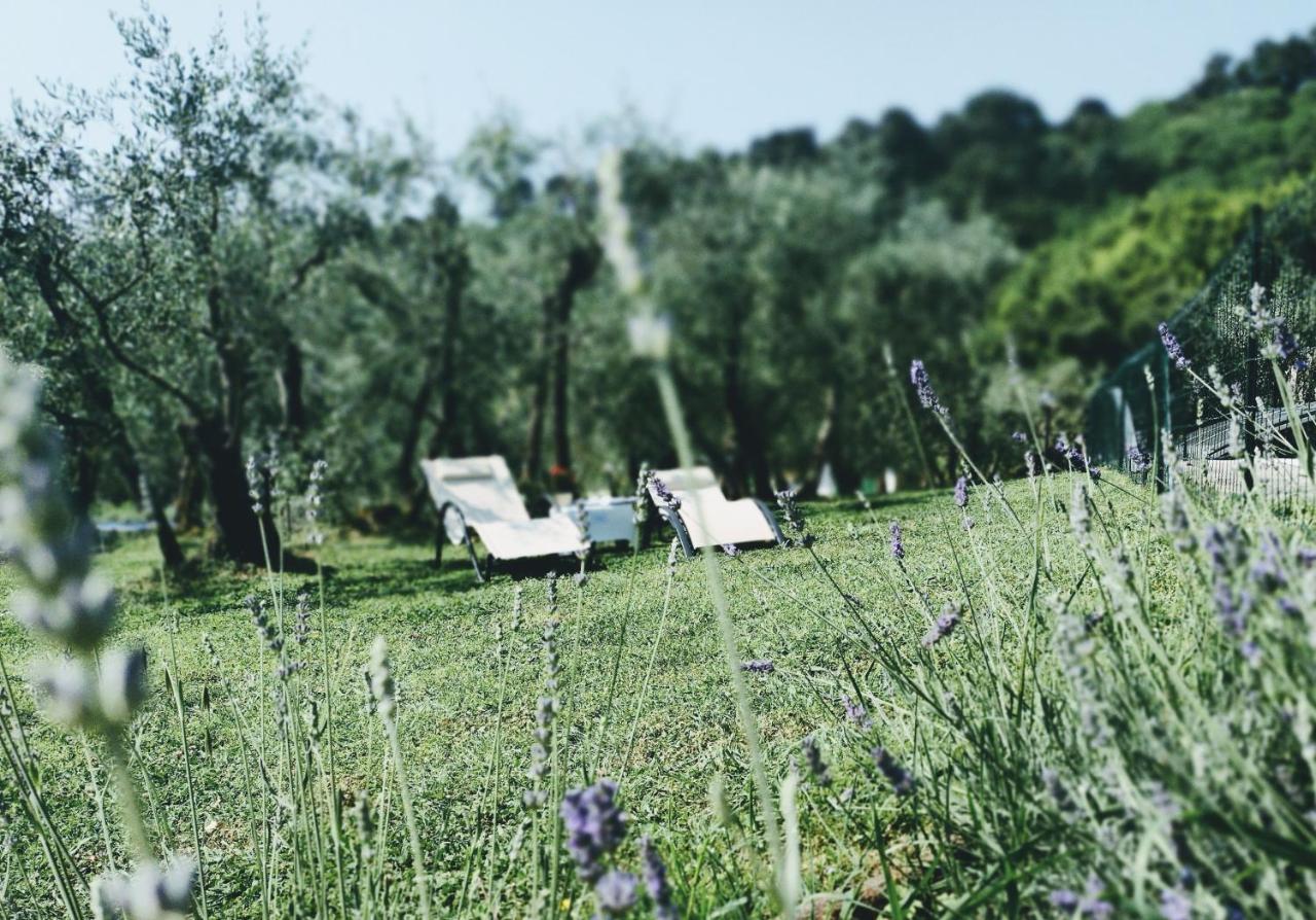Al Gattosaggio Bed & Breakfast Montecarlo Exterior foto