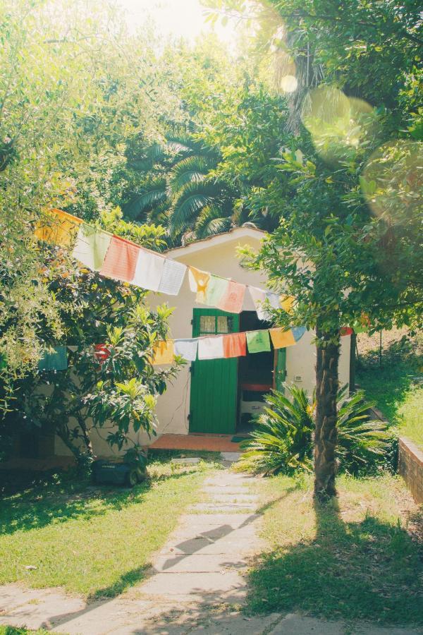 Al Gattosaggio Bed & Breakfast Montecarlo Exterior foto