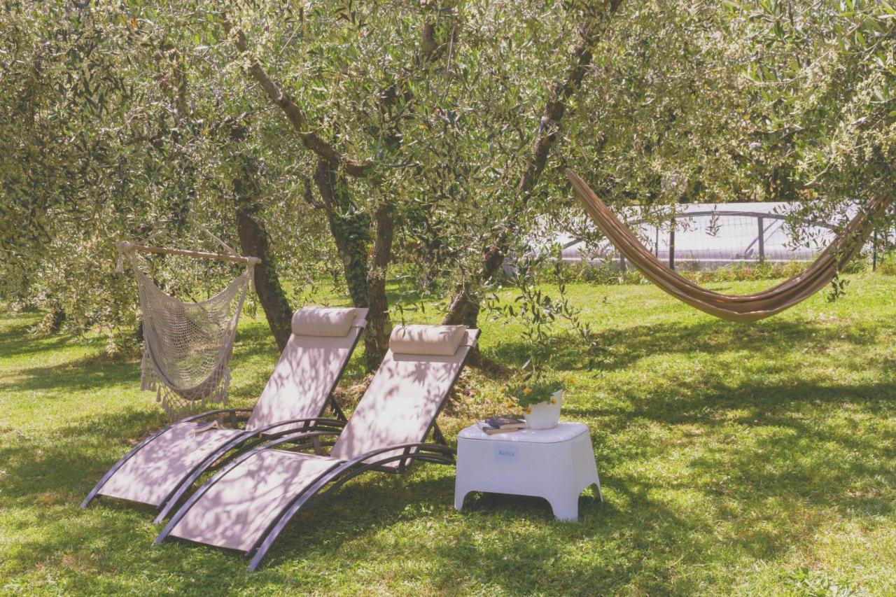 Al Gattosaggio Bed & Breakfast Montecarlo Exterior foto